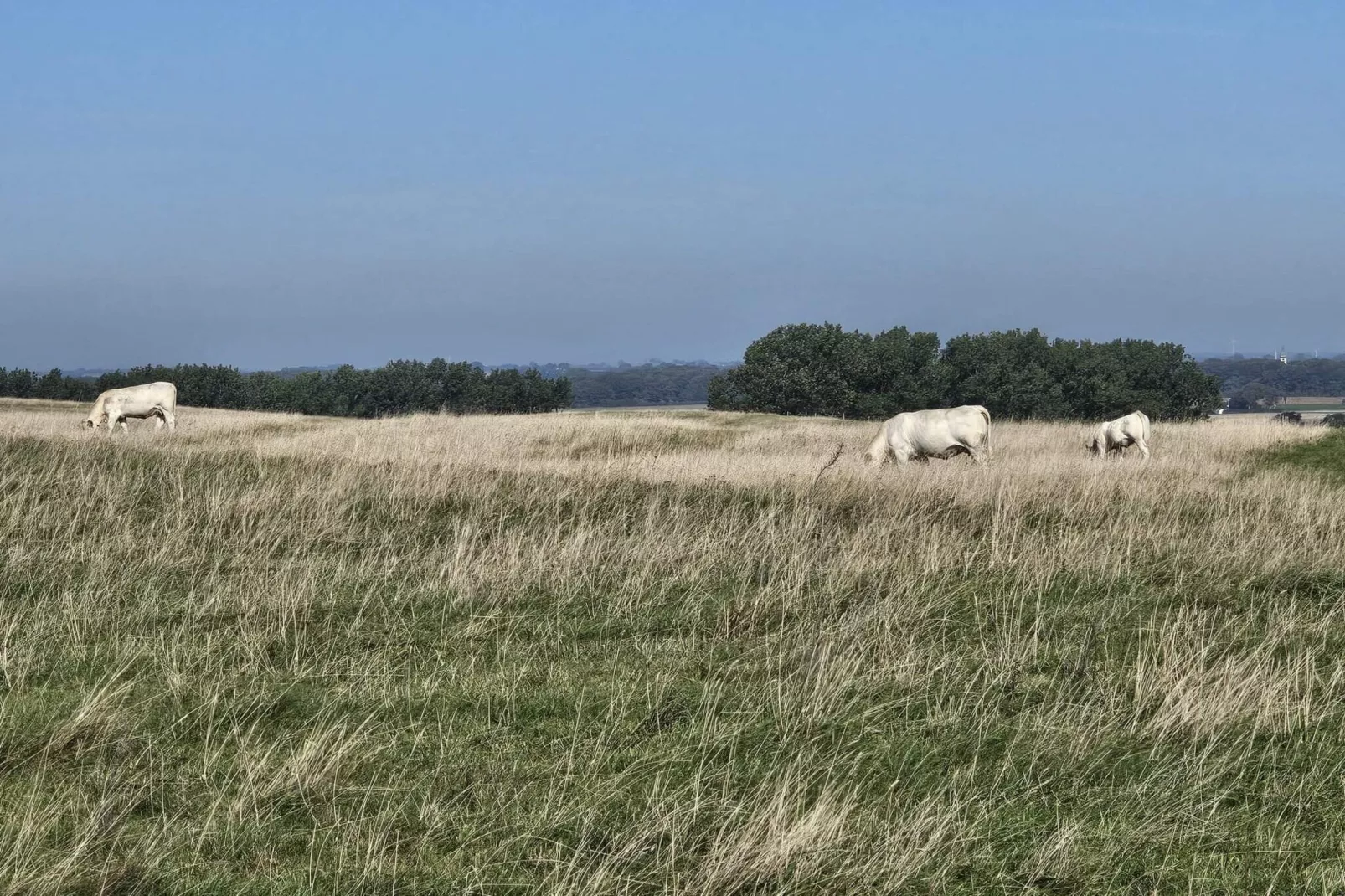 5 etoiles maison de vacances a YSTAD-Non tagué