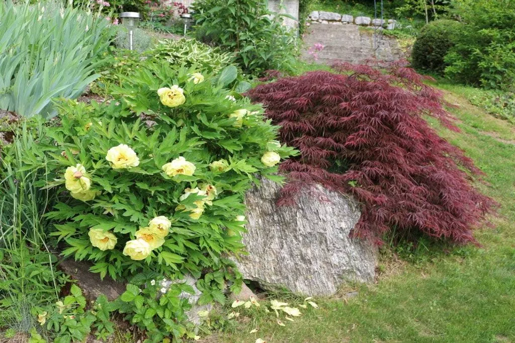 37316-Nicht zugeordnet