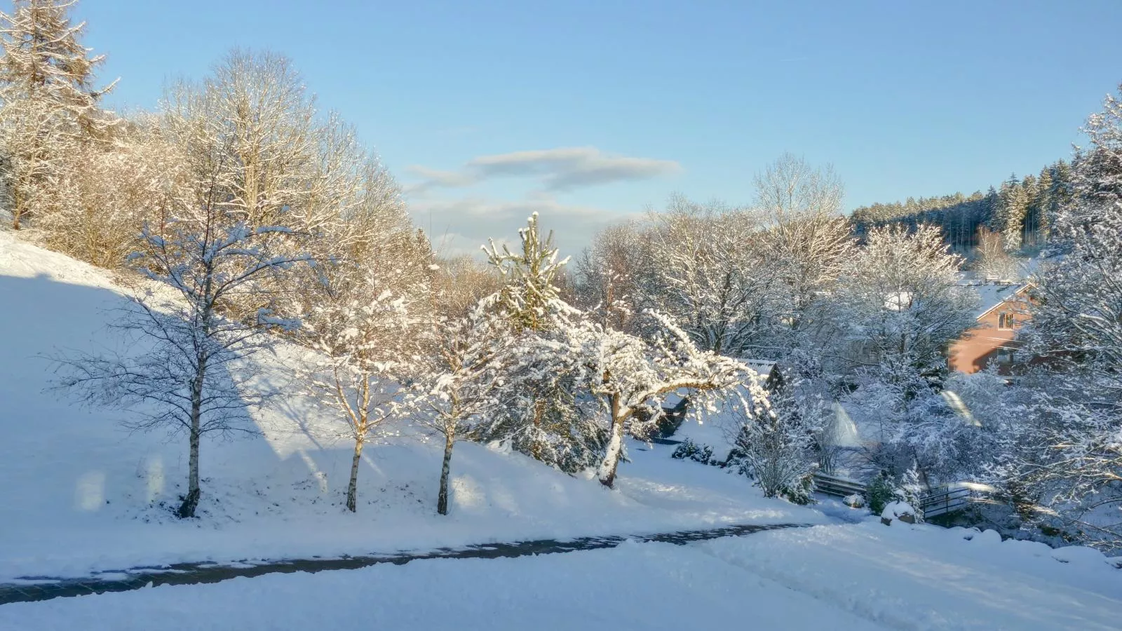 Alte Muehle-Vue d'hiver