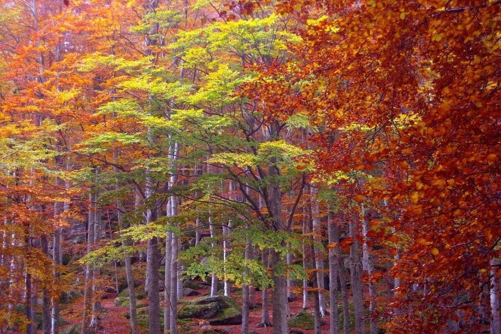 267882-Nicht zugeordnet