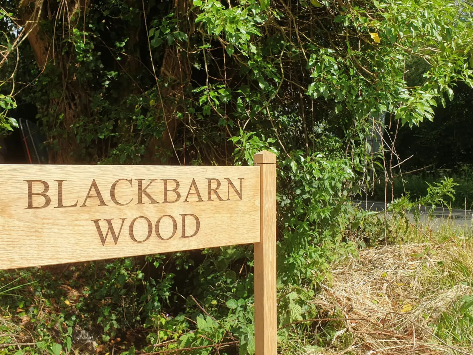 Blackbarn Wood-Dehors