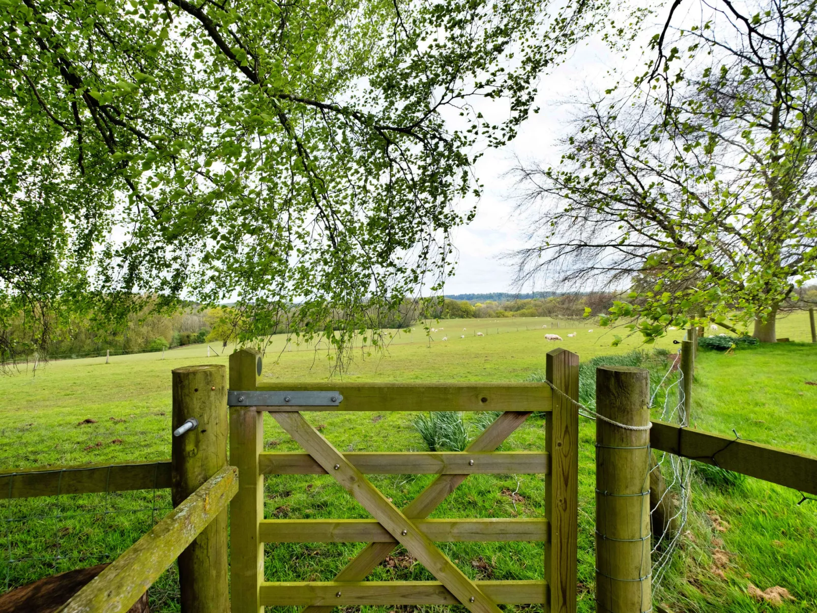 Hay and Hedgerow Glamping-Dehors