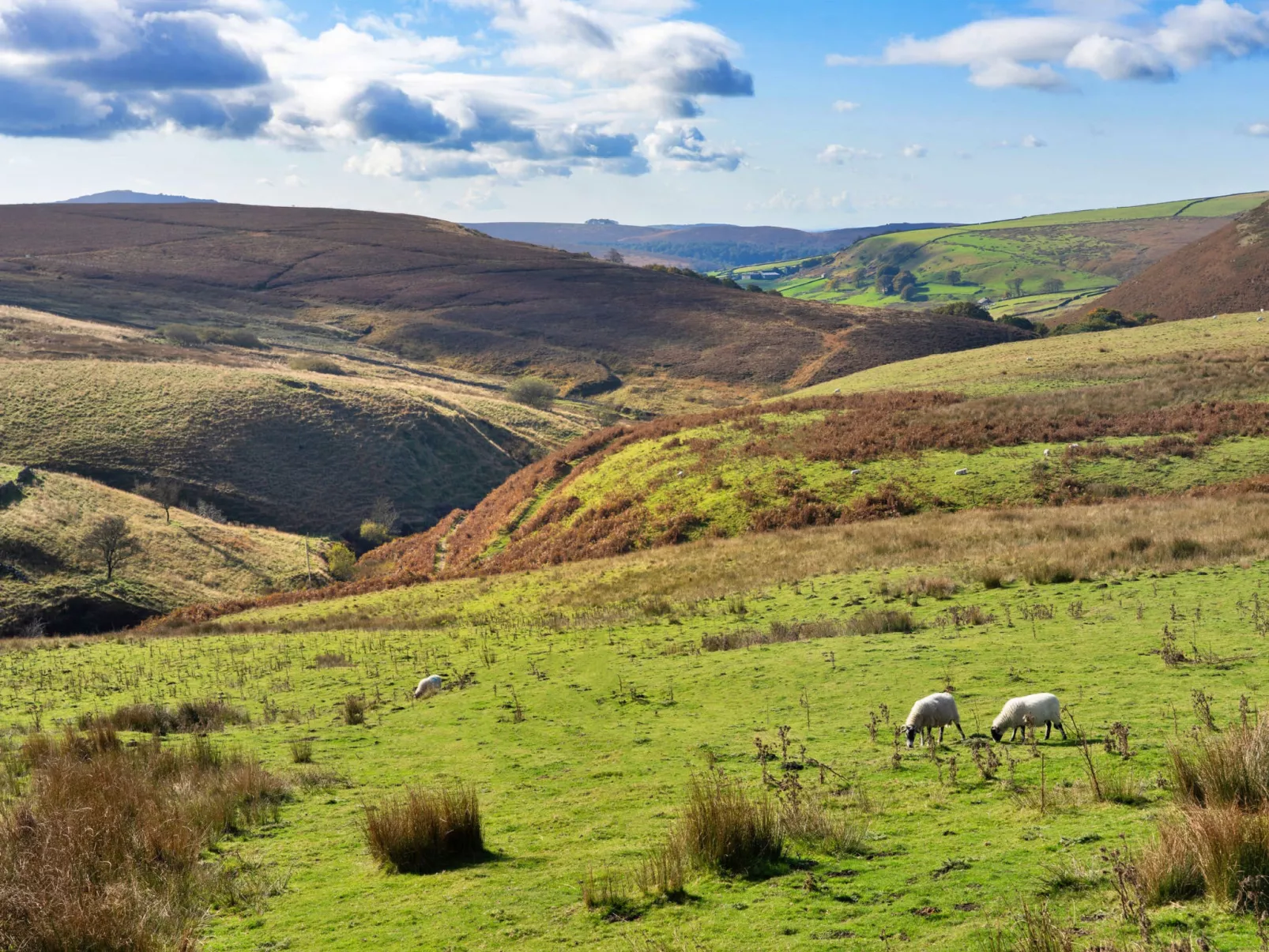 The Cottages Collection at Blackclough Farm-Draußen