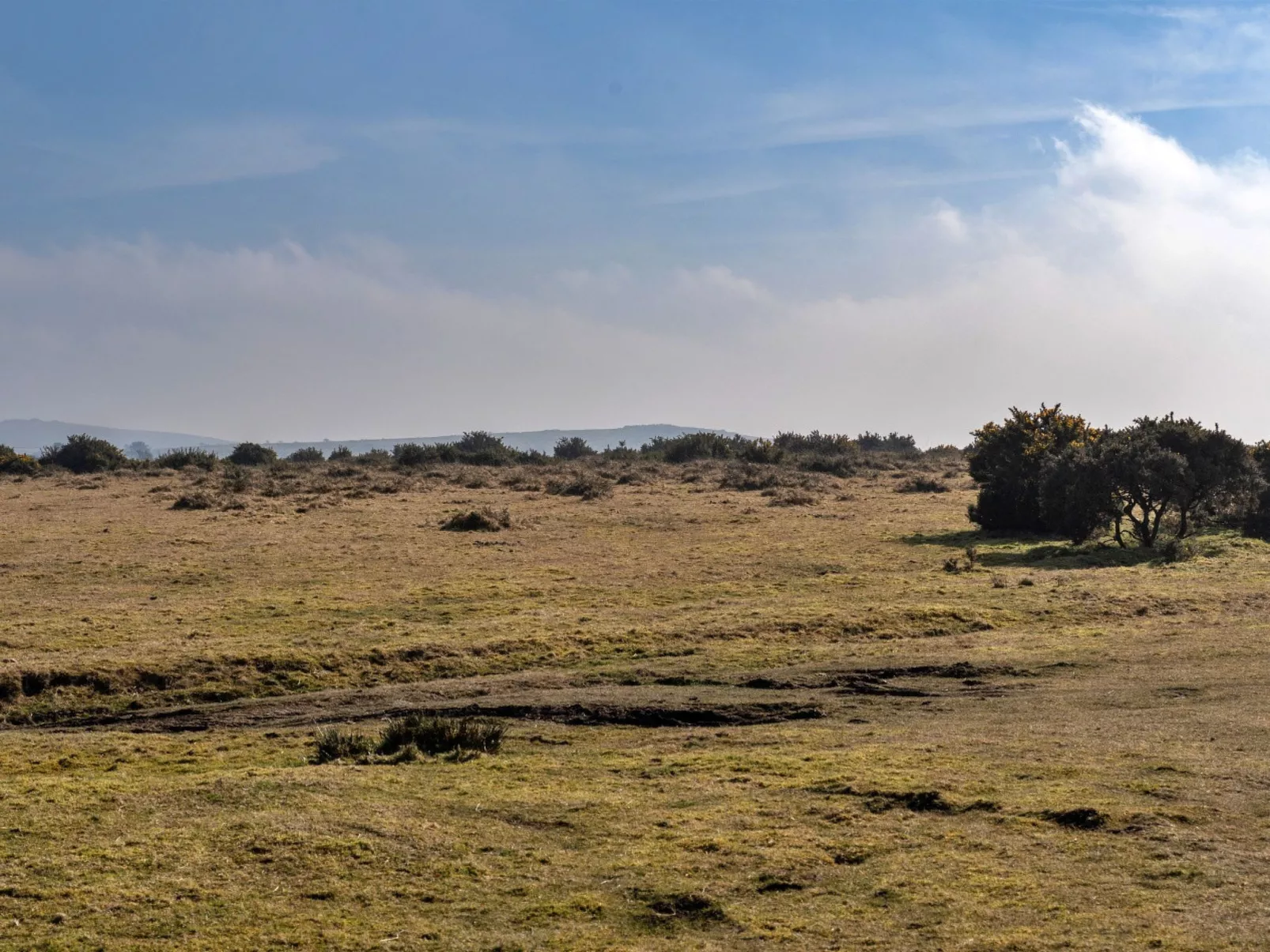 Jubilee Cottage at Bodmin Moor-Dehors