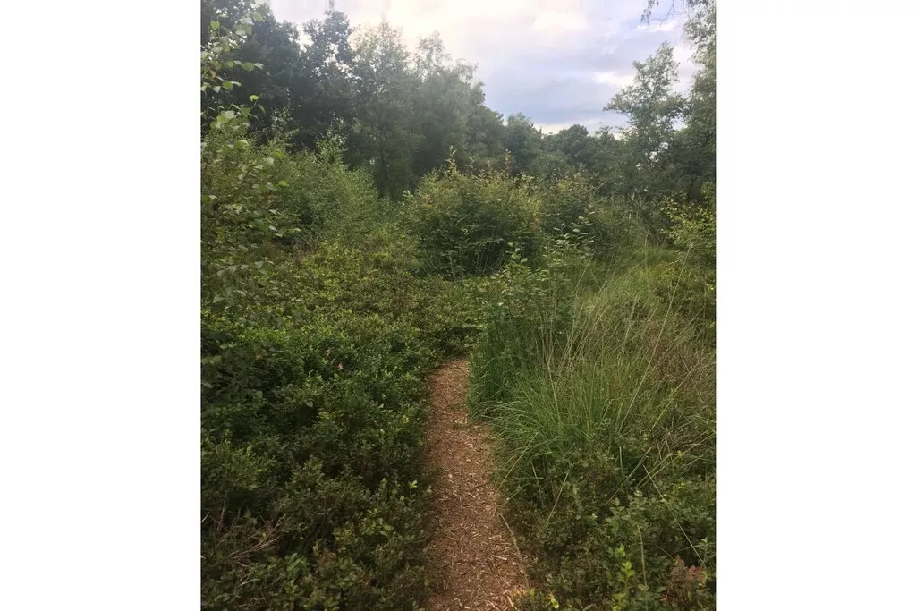 109045-Nicht zugeordnet