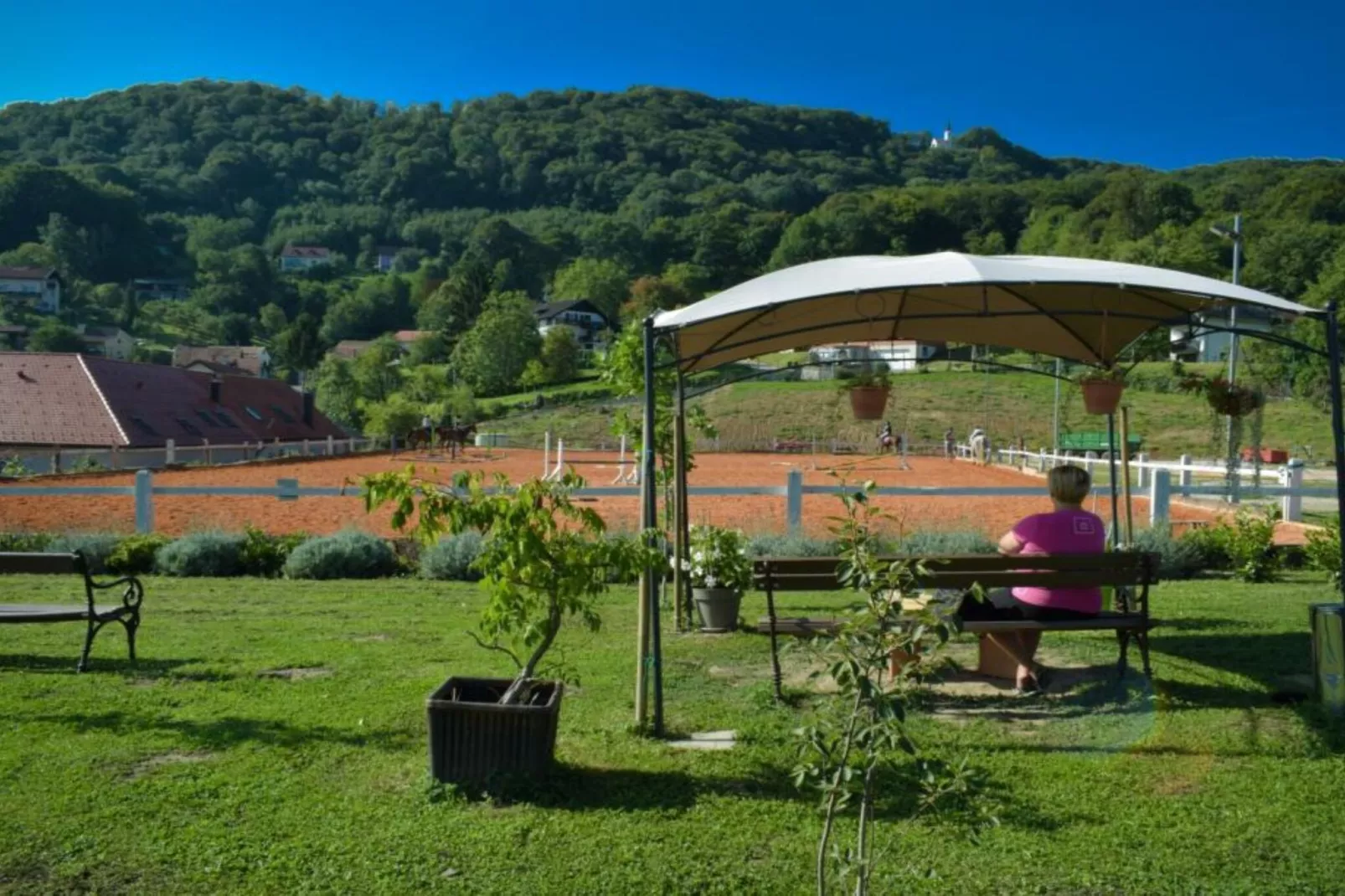 Zevnik Quiet Retreat with Stunning Views and Equestrian Activities - Standard One Bedroom Apartment-Outdoor