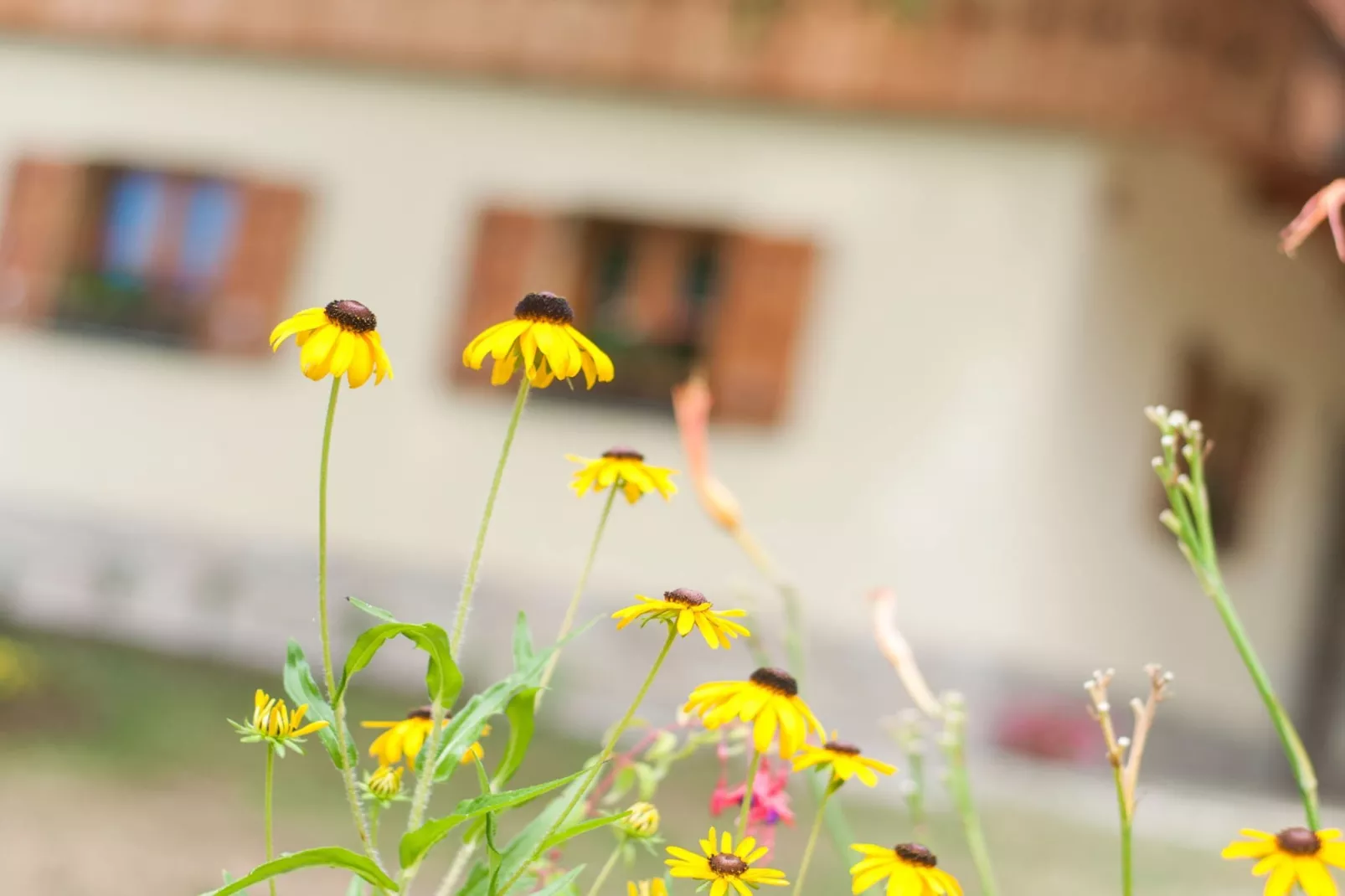 Sunny Two Bedroom Retreat in Beautiful Bizeljsko - Two Bedroom Country House-Outdoor