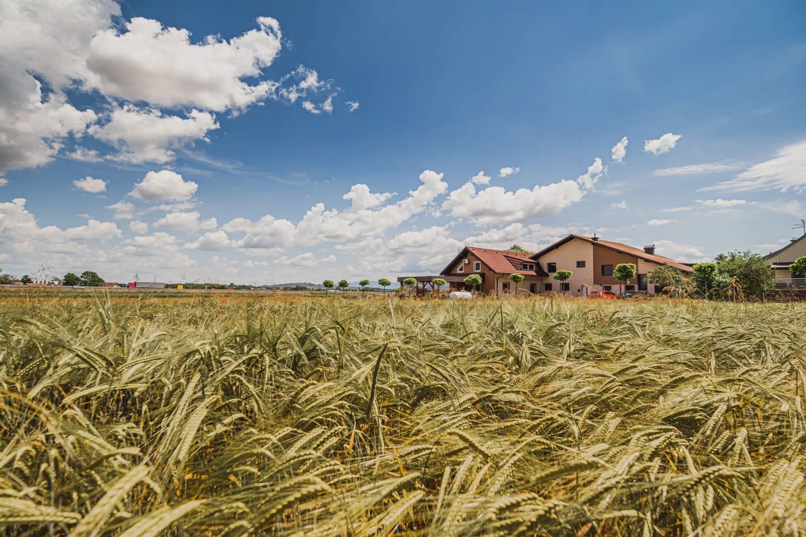 Elegant and Stylish Retreat Apartments with Terrace - Studio Apartment with Terrace-Extérieur