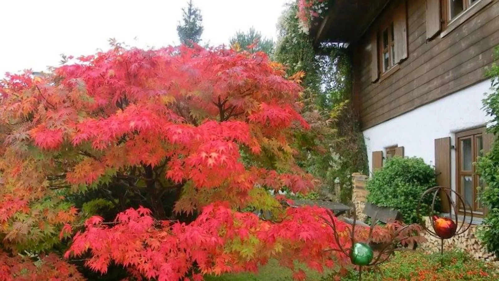 Bayerwald-Jardins en été