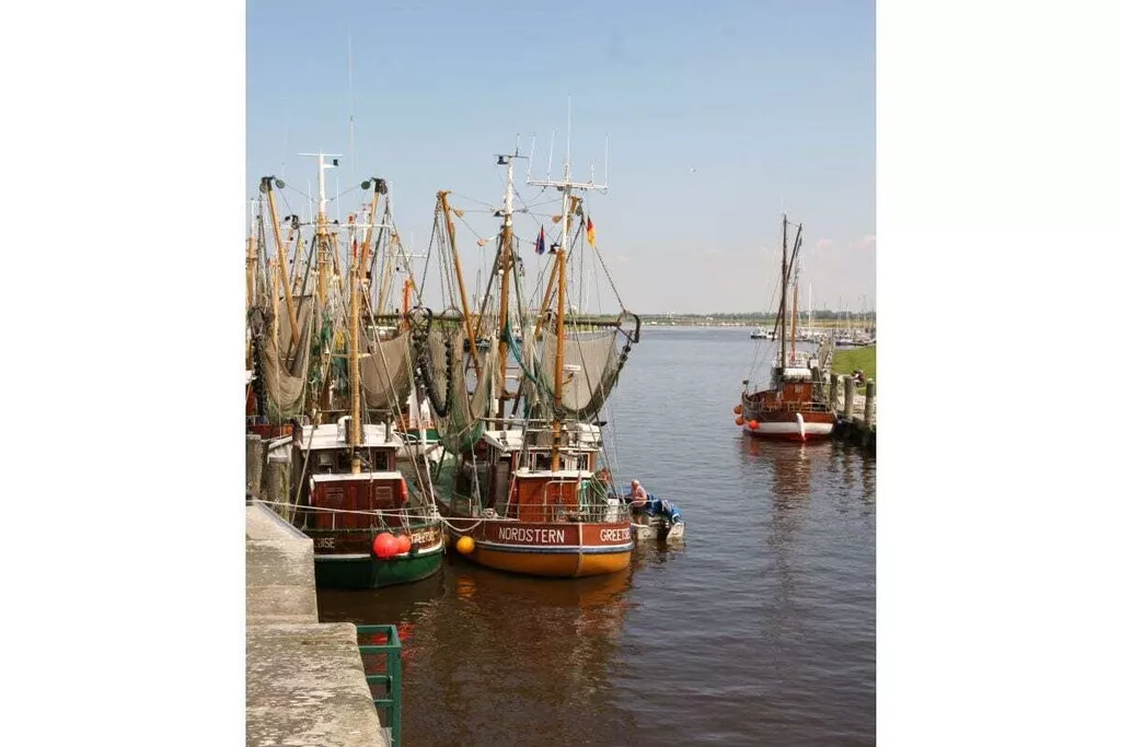 181621-Nicht zugeordnet