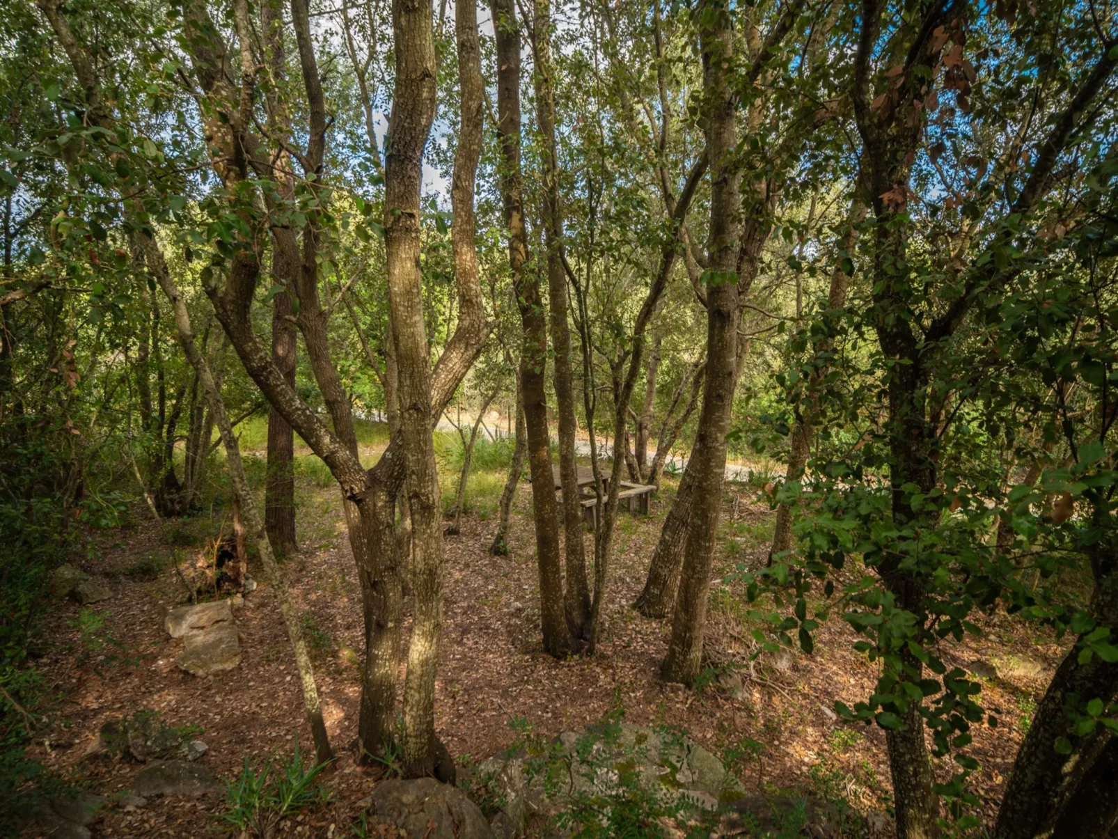 La Salve Can Jordi-Outside