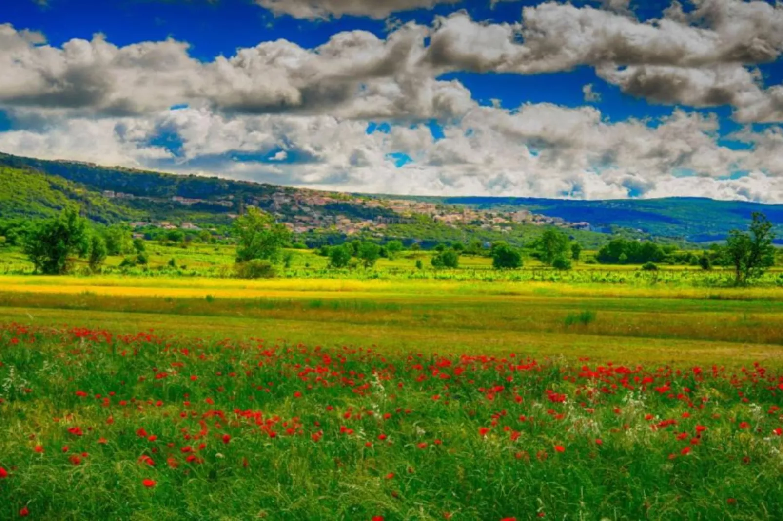 Beautiful Haven Villas - Villa Antonija with Outdoor Pool-View