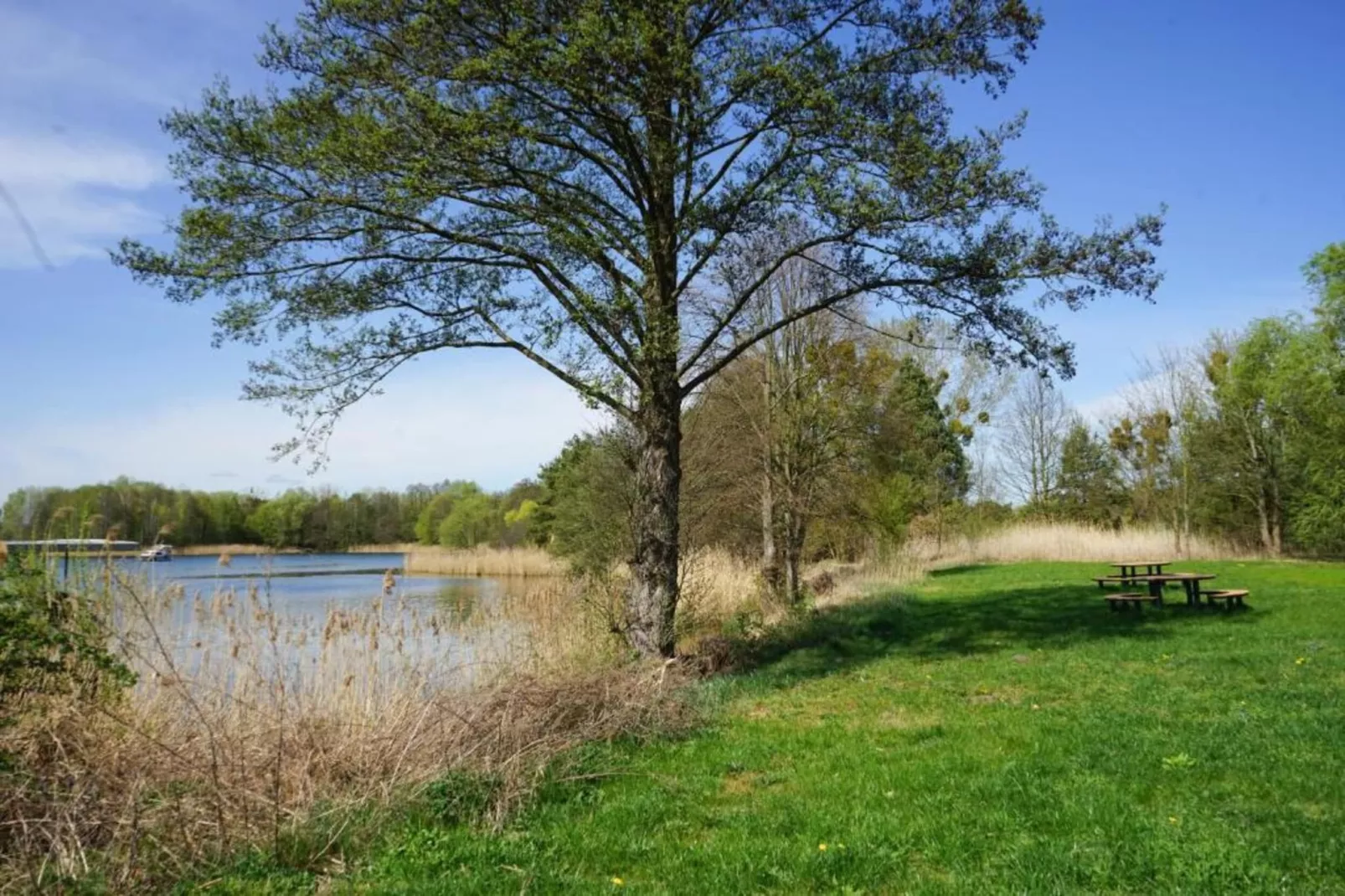 Hausboot in Zehdenick-Gebiete Sommer 20 km