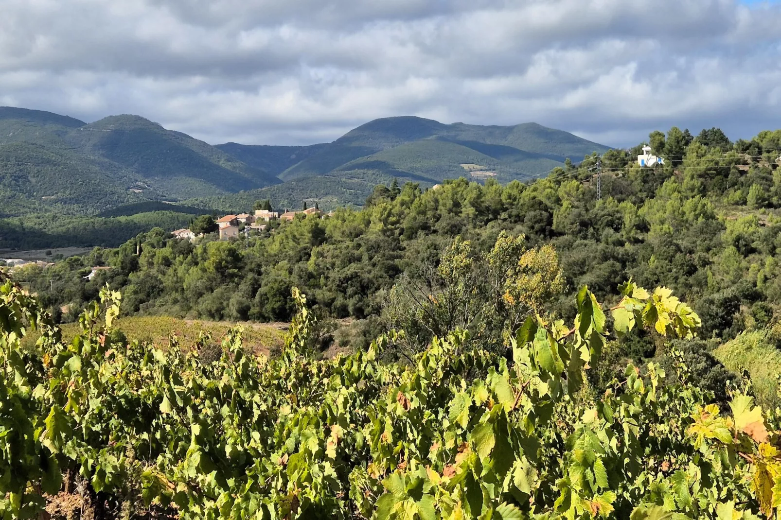 La Garrigue-Zones été à 5 km
