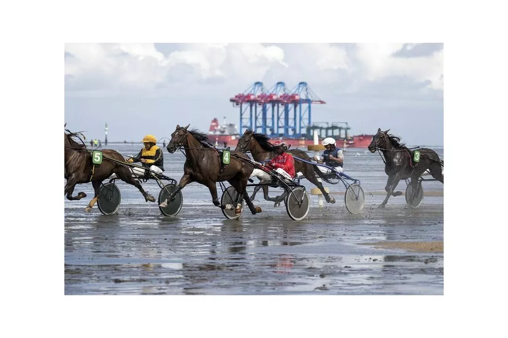 541259-Nicht zugeordnet