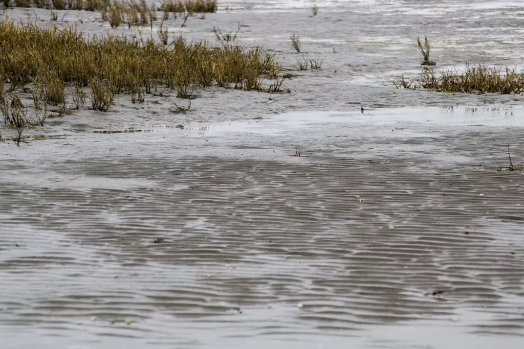 206358-Nicht zugeordnet