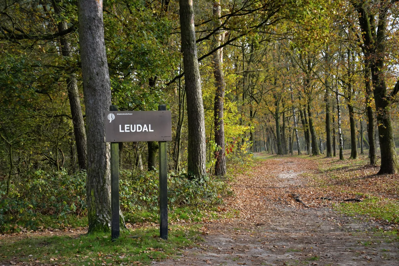 Boswoning-Zones été à 5 km
