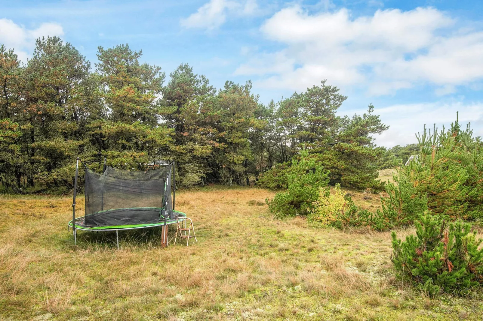 8 person holiday home in Fanø-By Traum-View