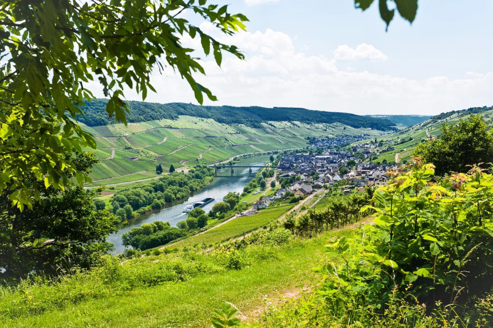Ferienresort Cochem 19-Areas within 20km in summer