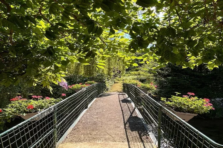 Bligny-sur-Ouche-Zones été à 1 km