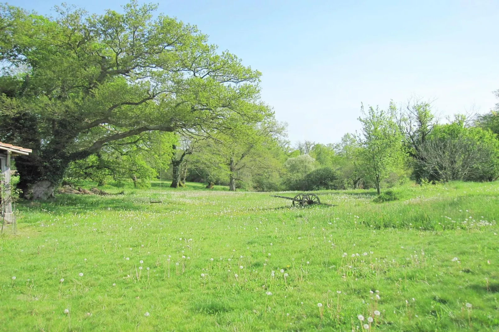 Villa Le Houga-Gardens in summer