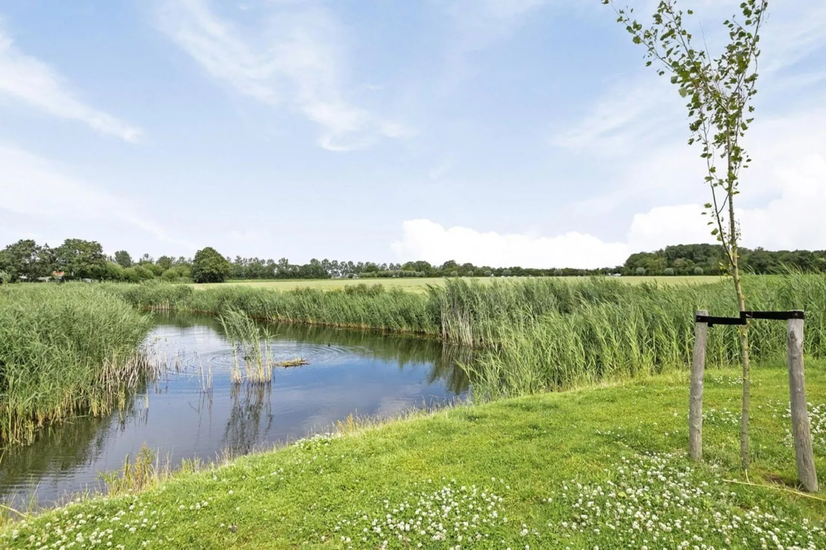 De Ooievaar Huis Nr 47-Vue d'été