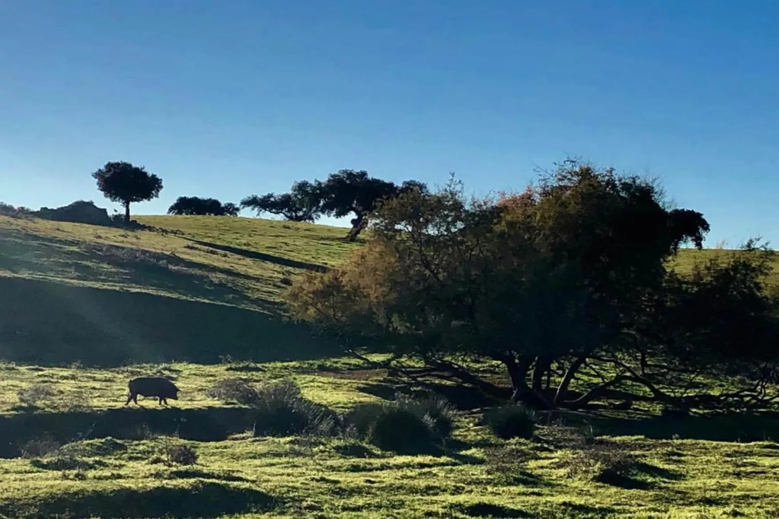 Villapark Ehzerburg 2-Areas within 20km in summer