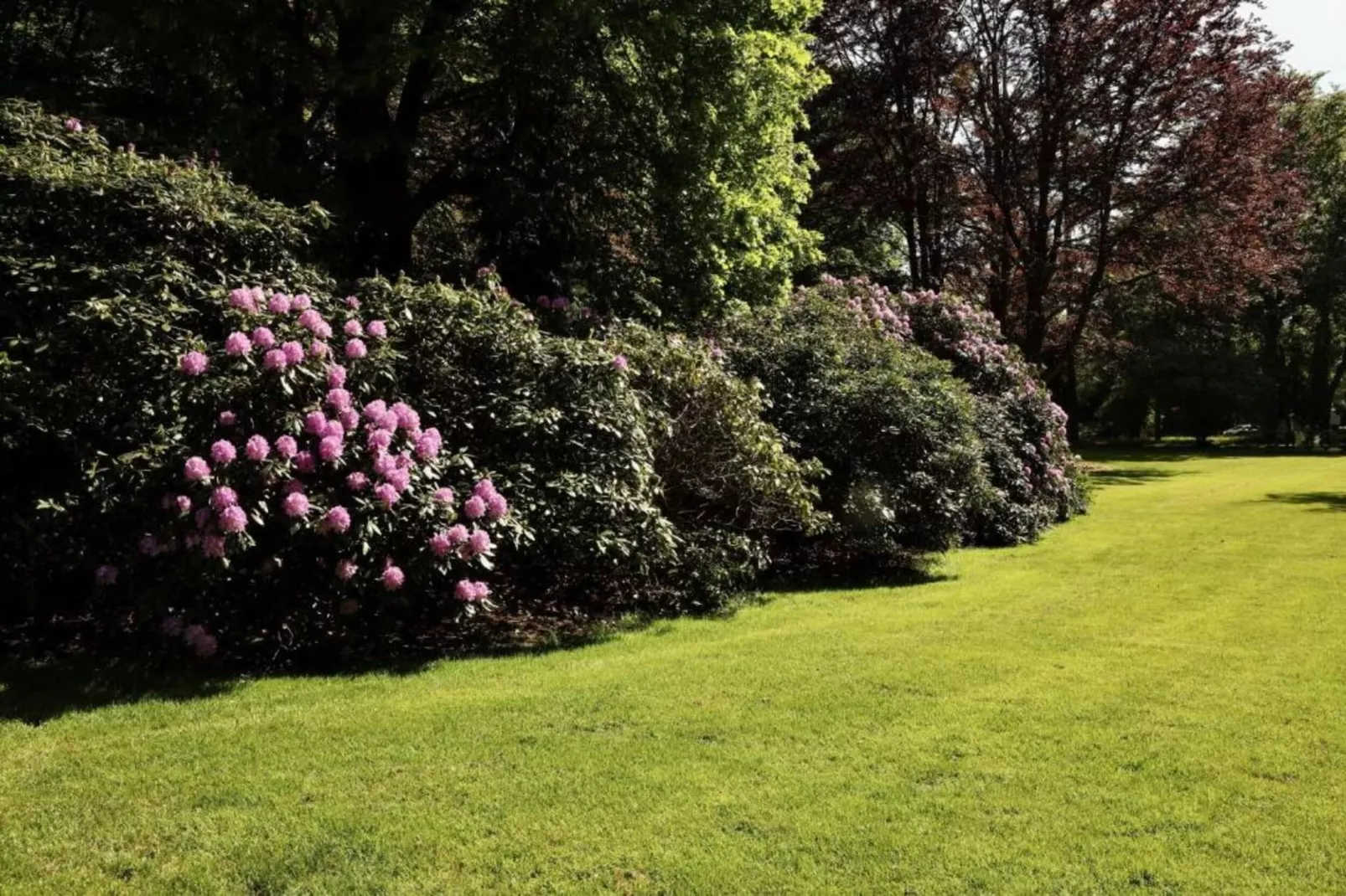 Vakantiepark De Lochemse Berg 1-Areas within 20km in summer