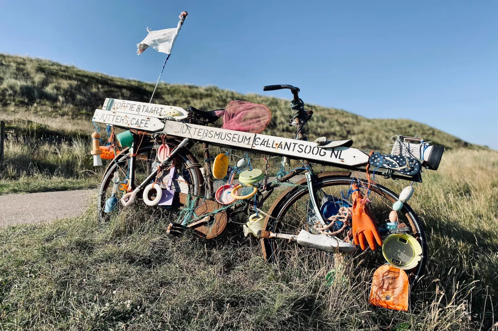 INFINITY-Areas within 1km in summer