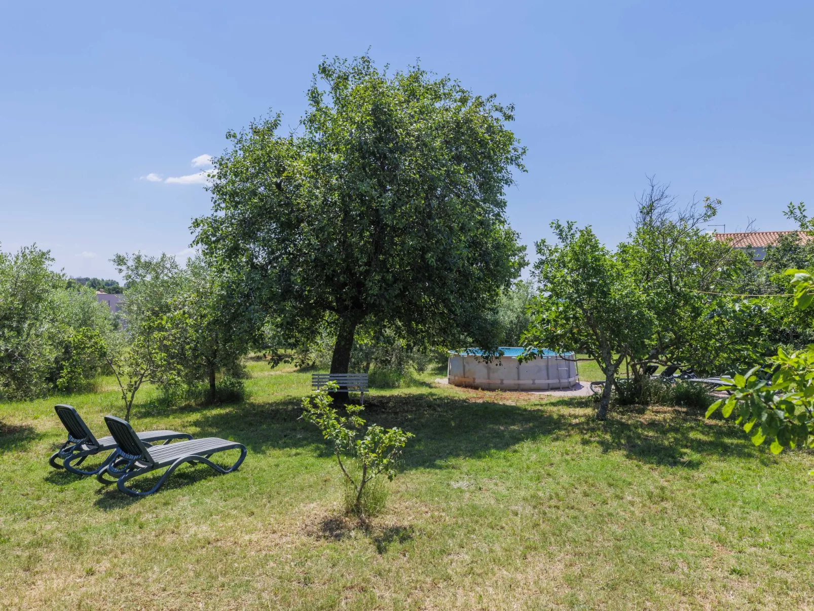 Pinia II-Outside