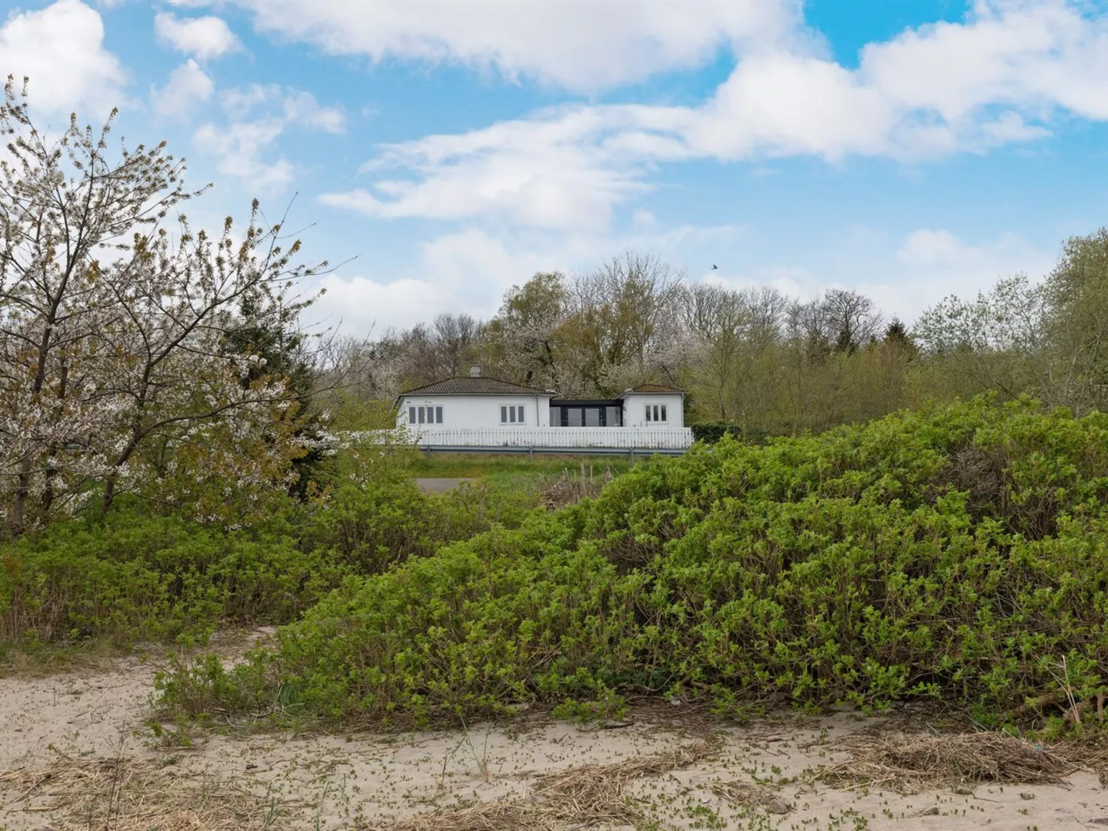 "Ensio" - 150m from the sea-Draußen