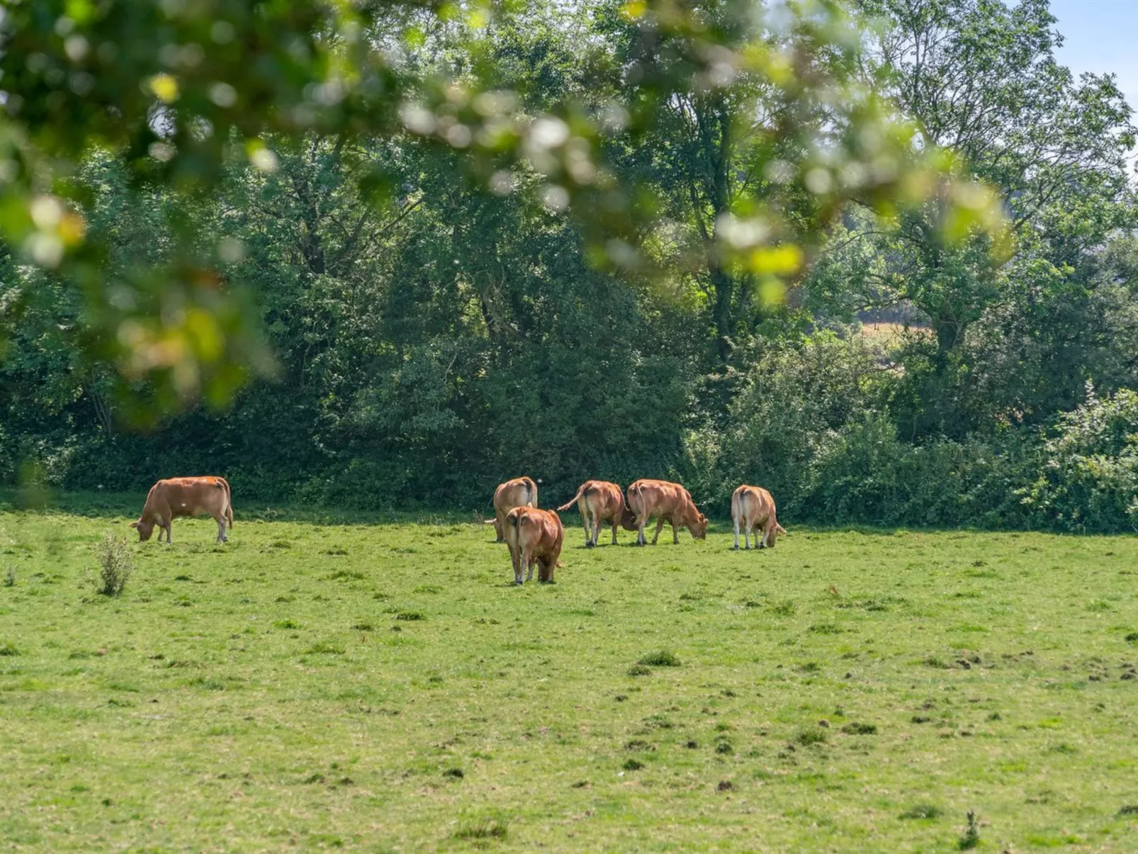 "Jeppe" - 50m to the fjord-Outside