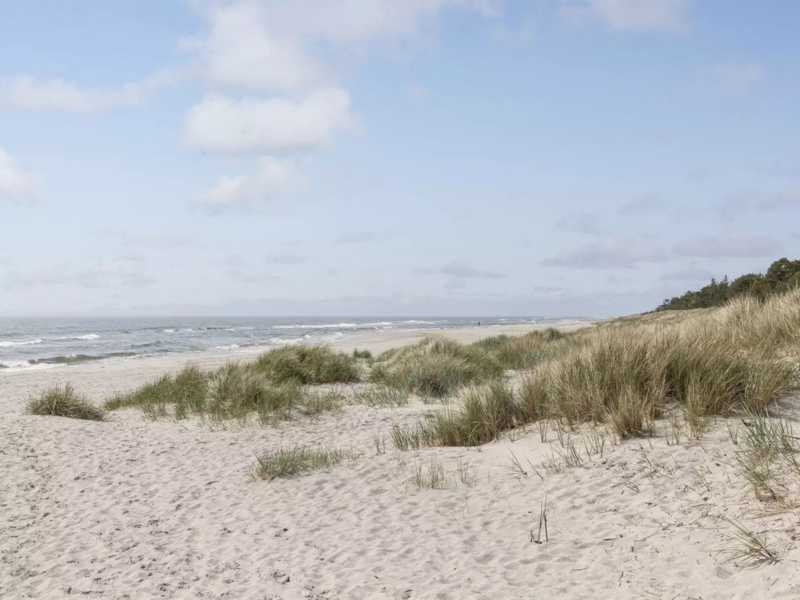 "Friis" - 200m from the sea-Outside