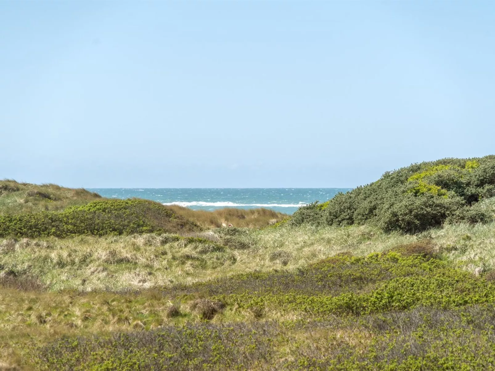 "Ecaterina" - 100m from the sea-Dehors