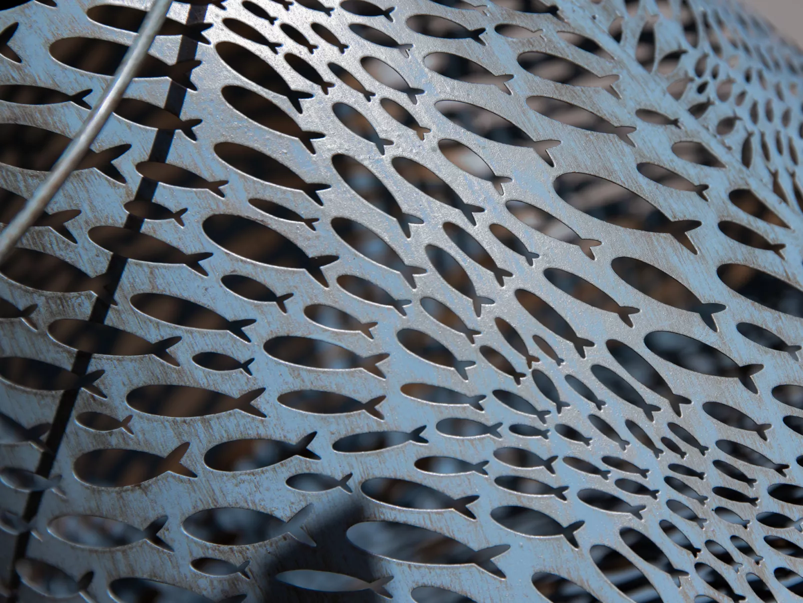 Bougainville C3/R-Dedans