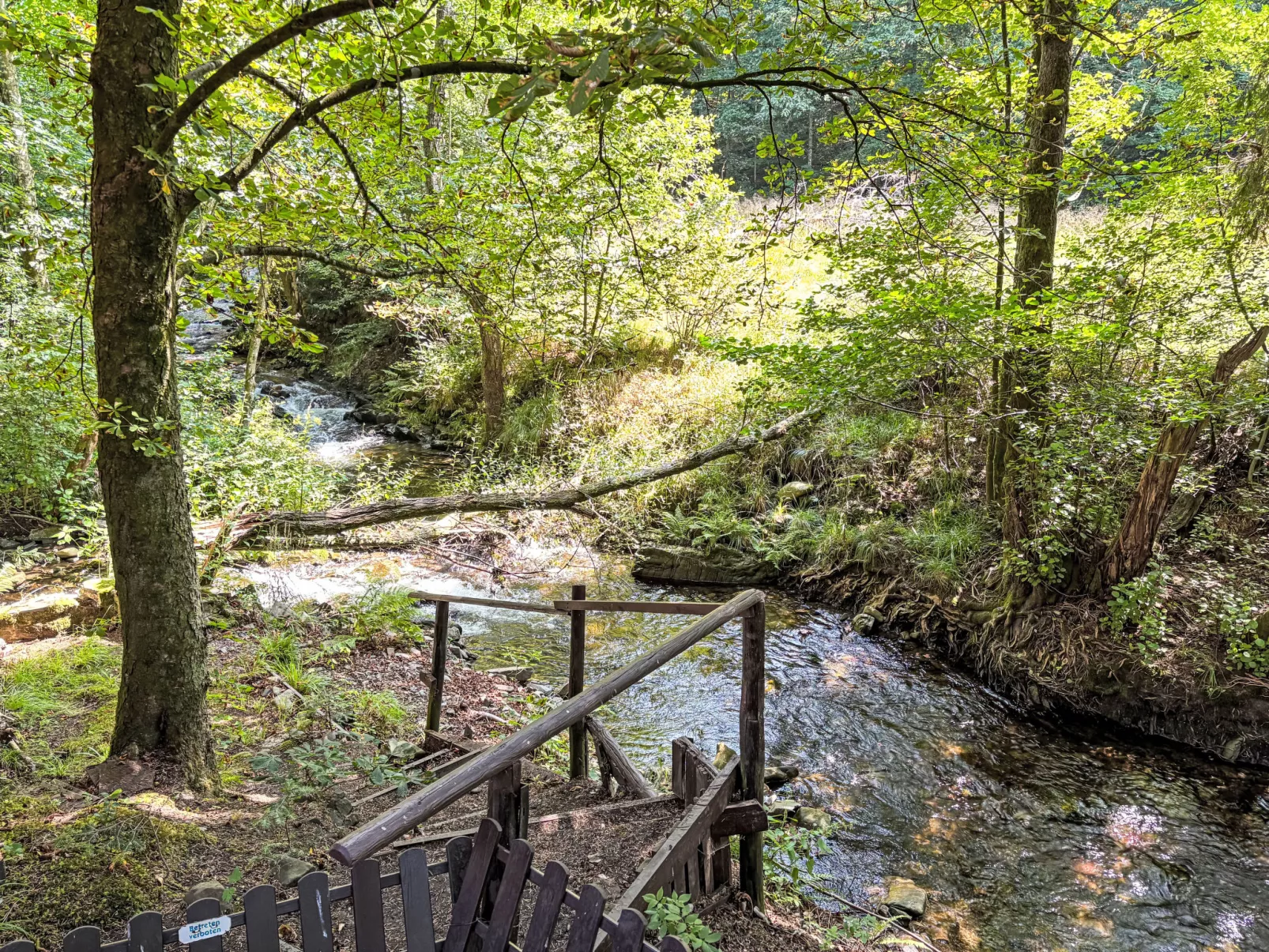 Altes Forsthaus Sösetal-Draußen