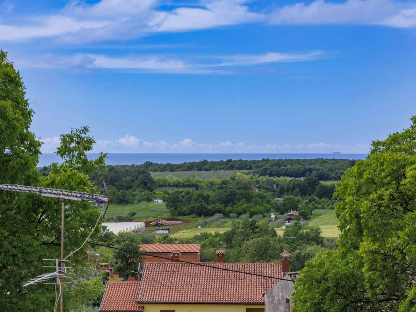 Erika-Dehors
