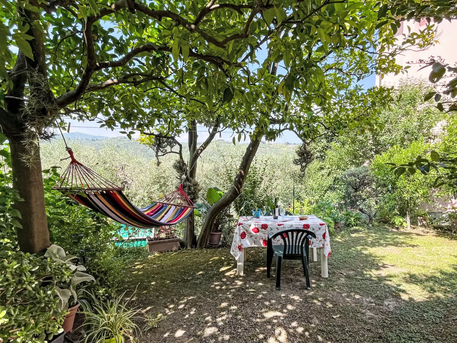 Elisa (DOL127)-Dehors