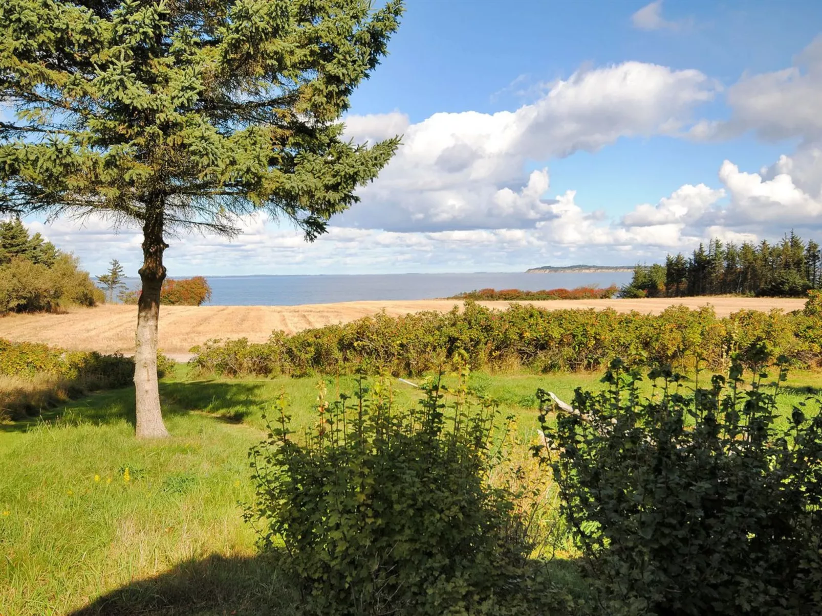 "Kaleva" - 200m to the fjord-Draußen