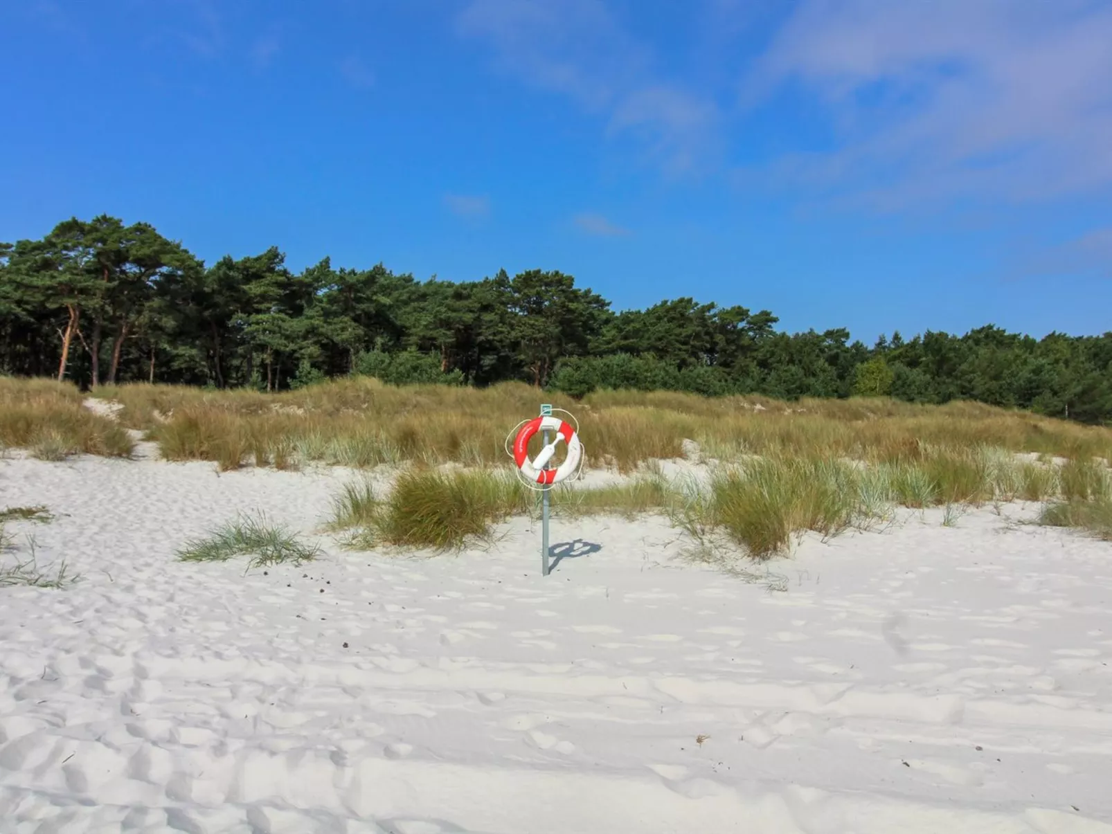 "Gunder" - 125m from the sea-Draußen