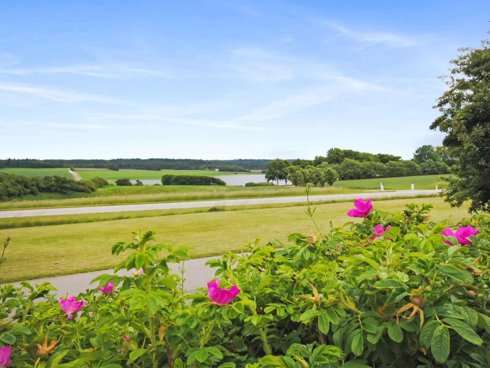 "Ludovic" - 7km from the sea-Outside