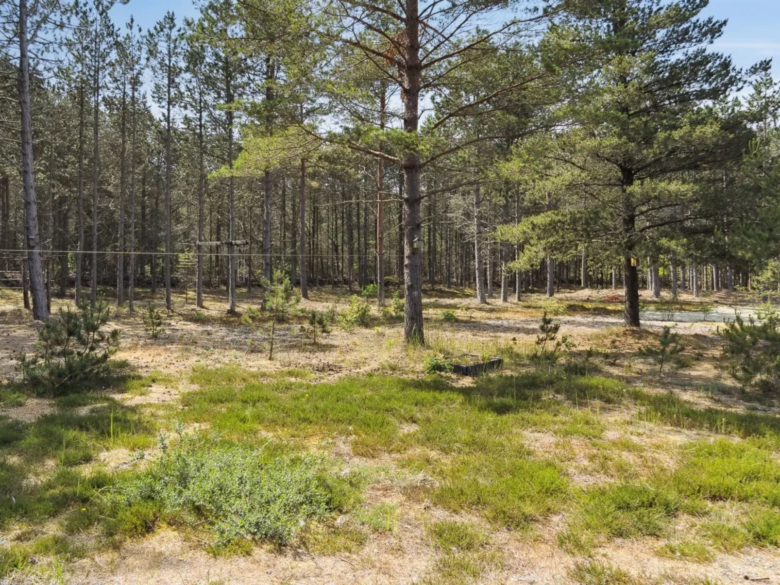 "Andy" - 600m from the sea-Outside