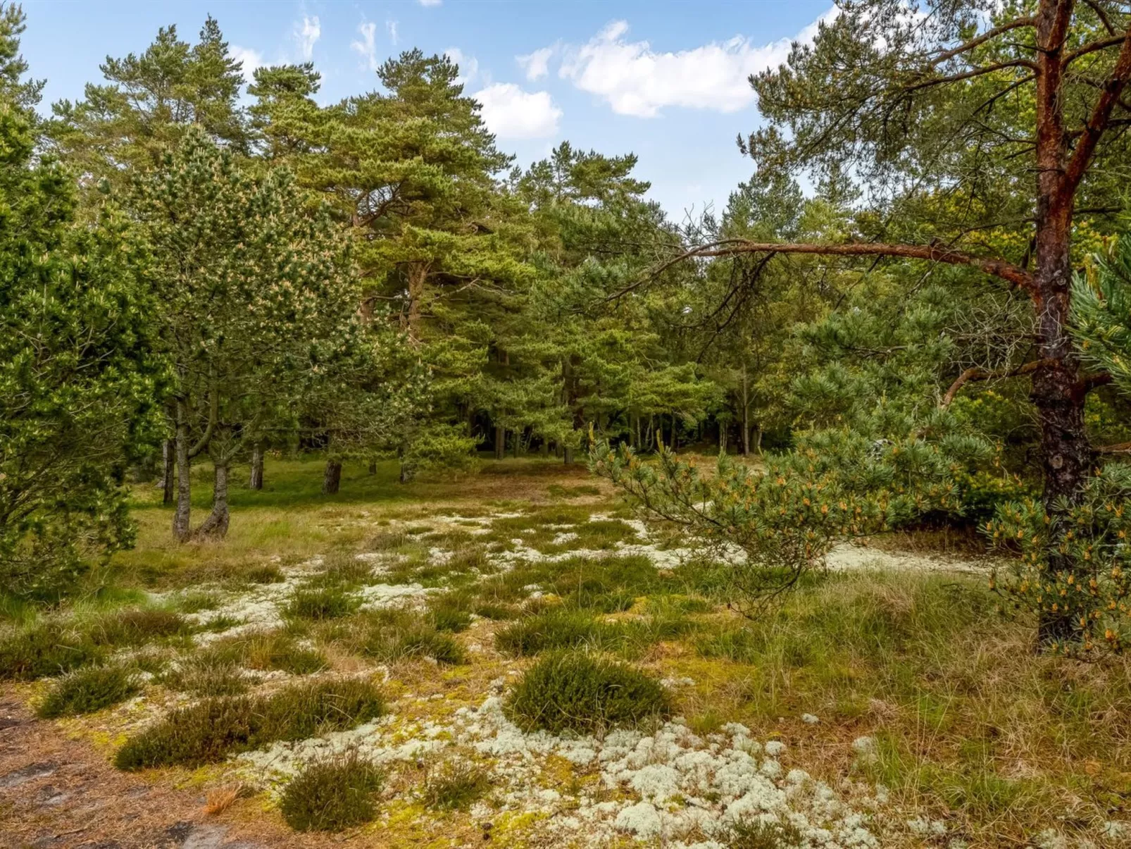 "Eliza" - 600m from the sea-Draußen