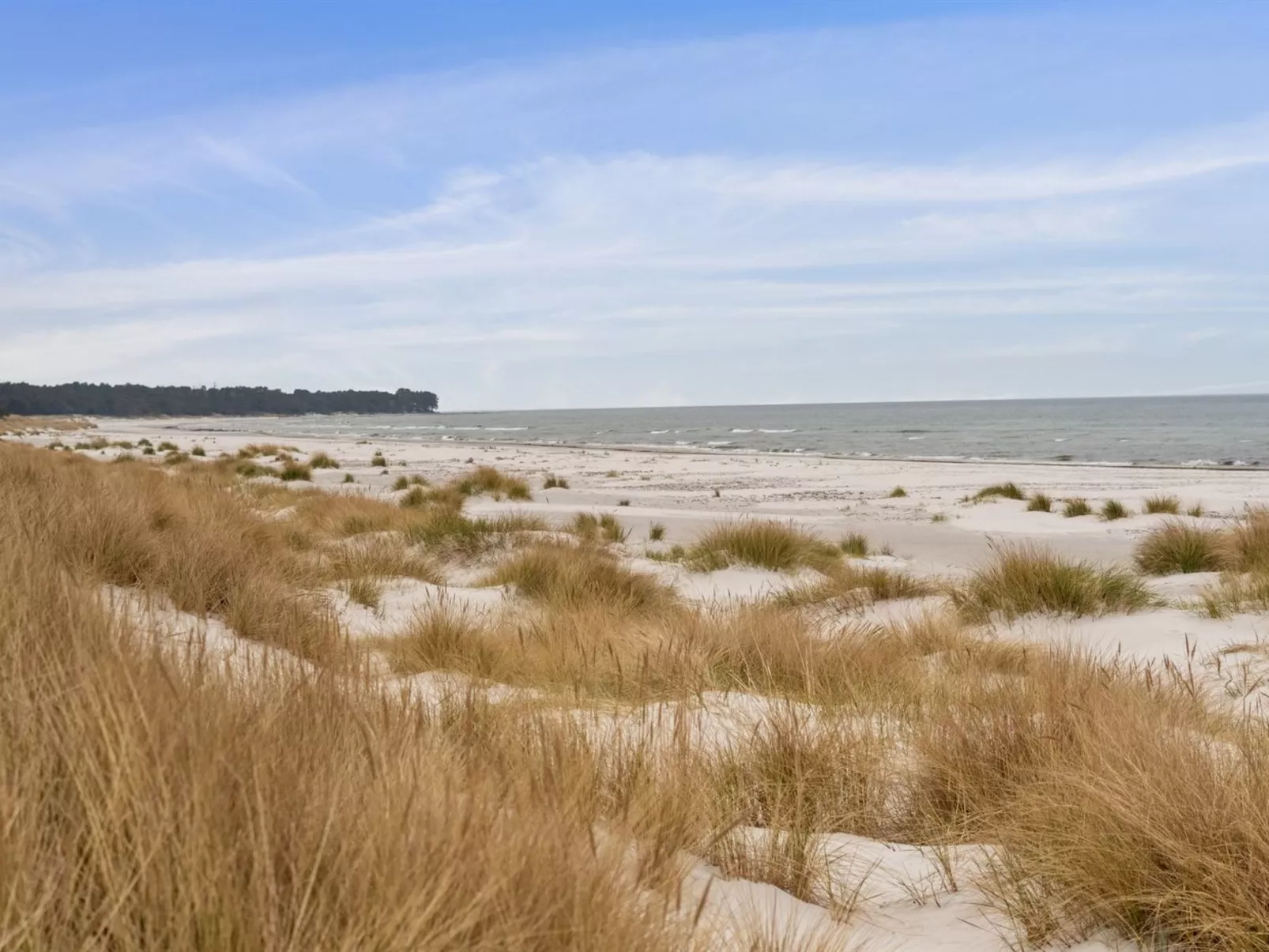 "Sanela" - 25m from the sea-Dehors