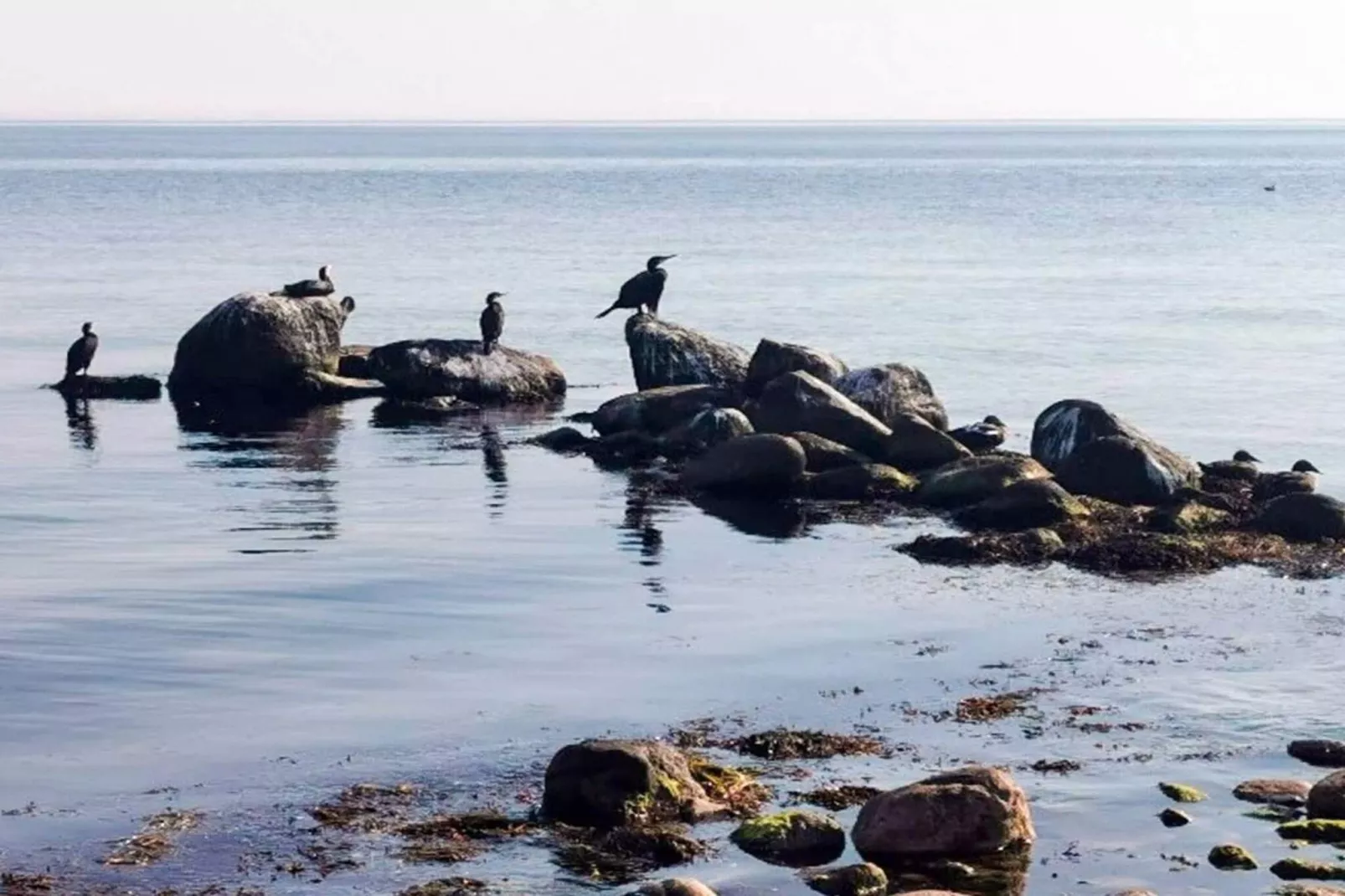 4 etoiles maison de vacances a Gørlev-By Traum-Vue sur l'eau