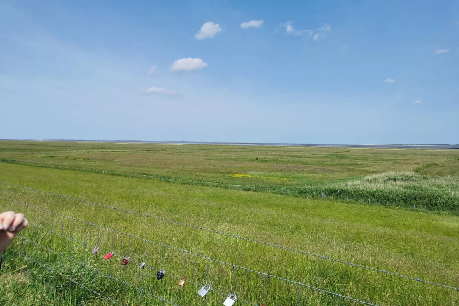 Ferienhaus Seeschwalbe-Areas within 5km in summer