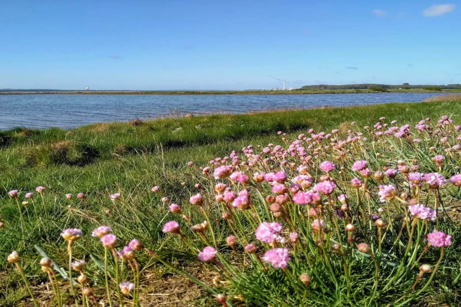 4 etoiles maison de vacances a Rønde-By Traum-Vue sur l'eau