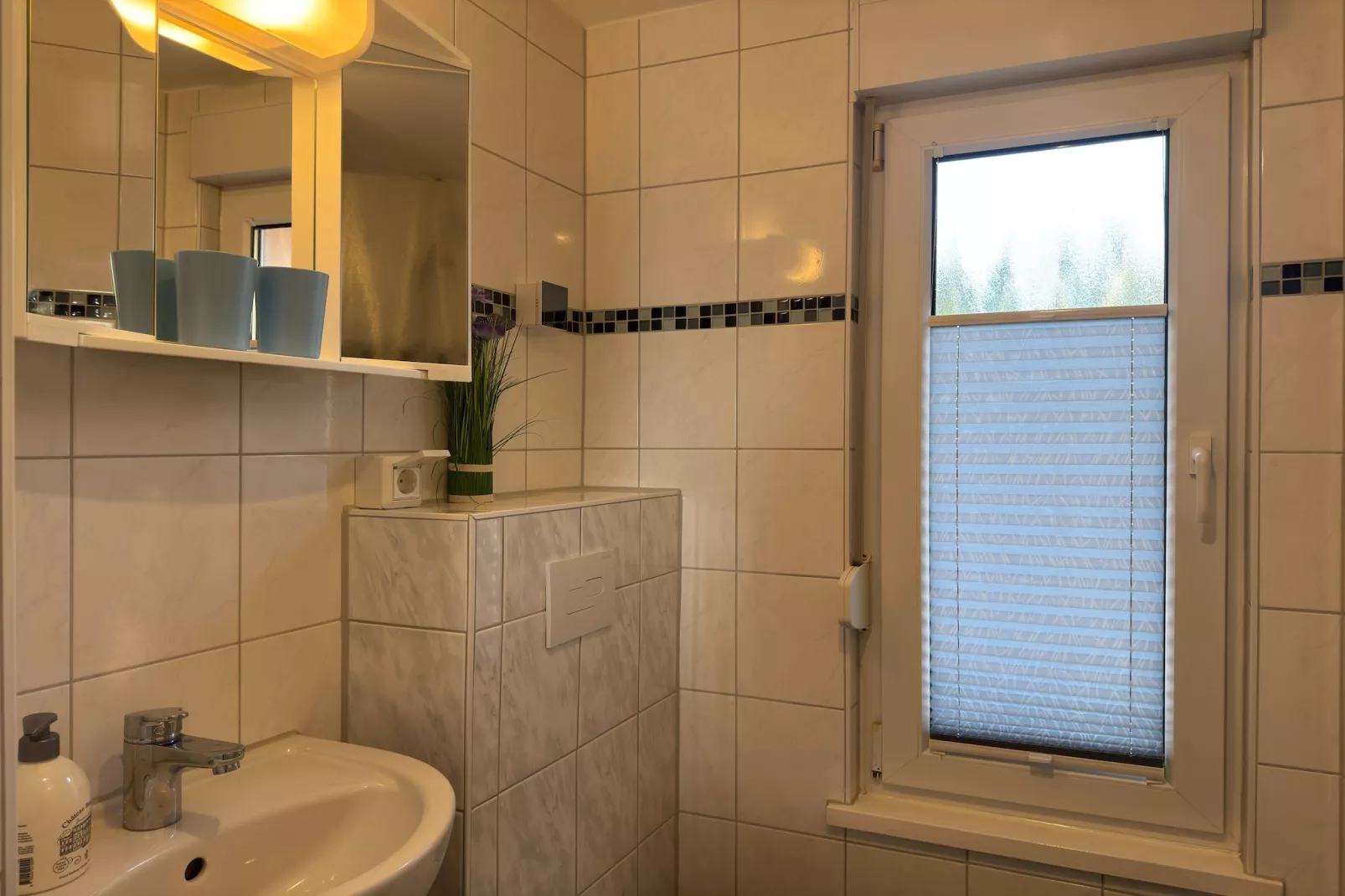 Meineckes Harzidyll Am Eichenberg III-Salle de bain