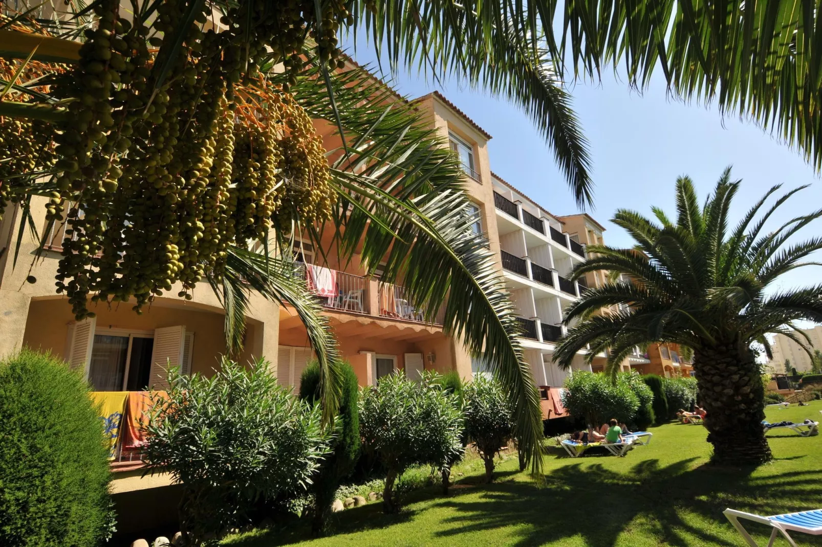 APARTAMENTOS COMTE D'EMPURIES C46-Gardens in summer