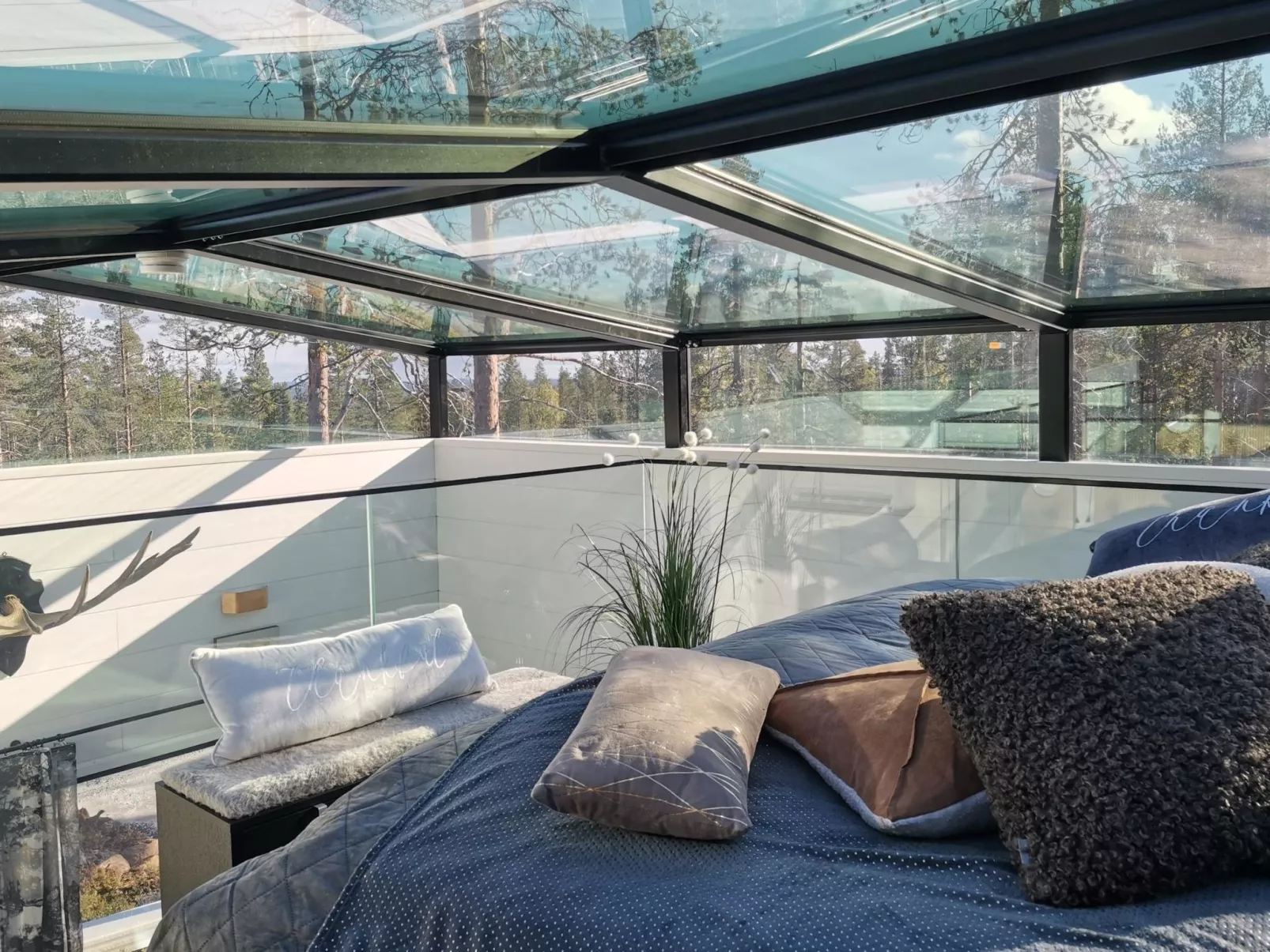 Levi secret igloo revontuli 10d-Inside